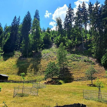 Ferienwohnung Bei Vogel Geroldsgrun Luaran gambar
